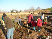 INICIO HUERTO ESCOLAR CURSO 06-07